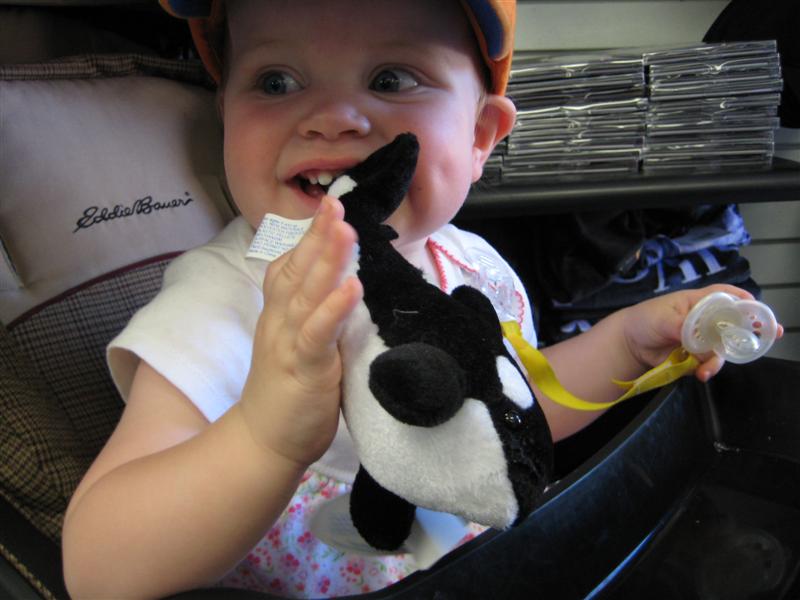 SW (17).JPG - Hey Daddy, will you buy this for me?... Please?...